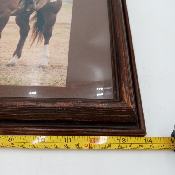 Beautiful Horse Photograph Framed Found Photo Art Cowboy Western Ranch Decor 14 - Picture 13 of 13